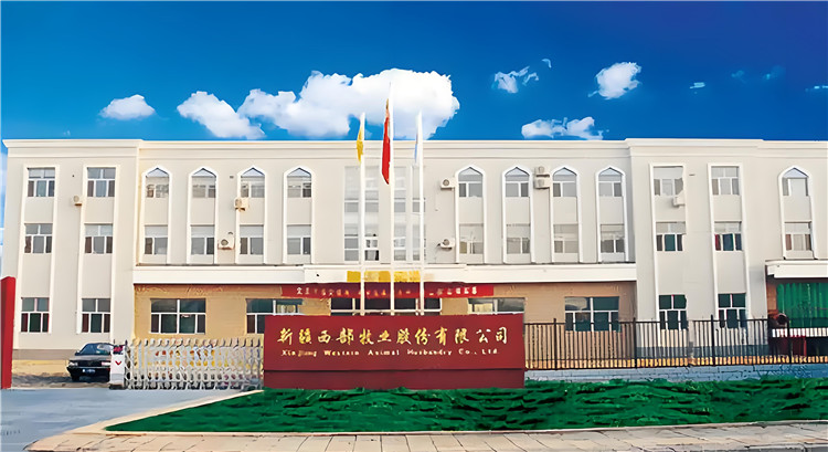 62d5fd60-c4d7-4efa-a198-1fbffe3f1486.jpg